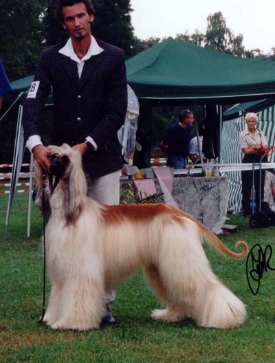 Biold Copyright by Agha Djari`s Kennel