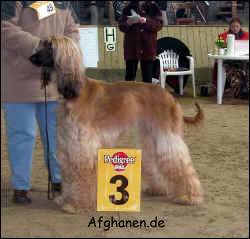 Copyright by afghanen.de