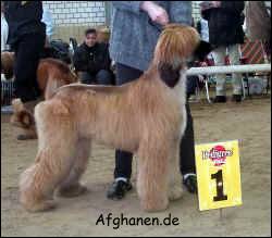 Copyright by afghanen.de