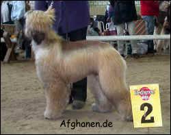 Copyright by afghanen.de