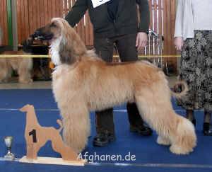 jug-rued-1.JPG (929011 Byte)