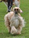 DSC_6254