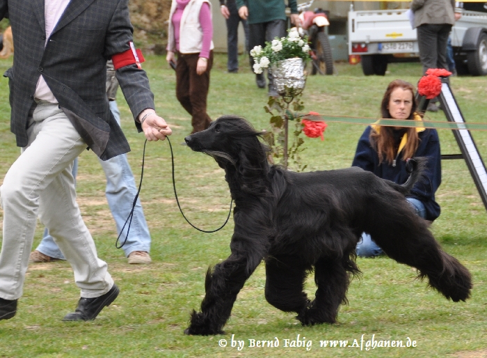 26-3.JPG - Zindesjah's Ciaran