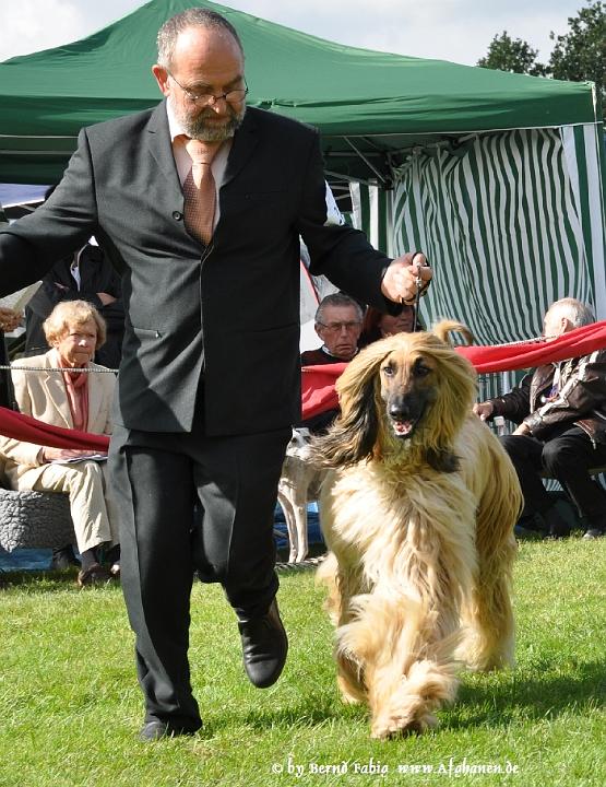 DSC_6450.JPG - Geddy Y-Shirvan