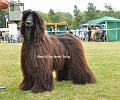 DSC_0540