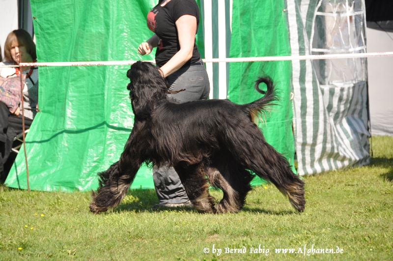 DSC_5502.JPG - Zindehsjah's D'Jay
