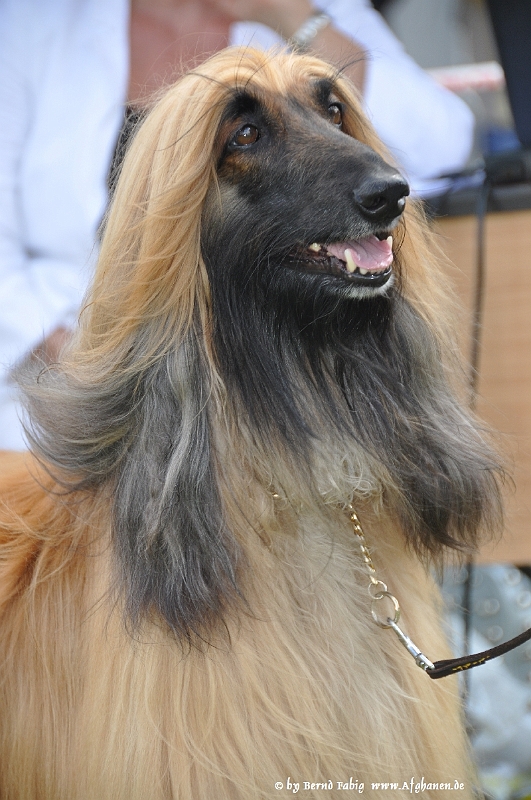 DSC_5925.JPG - Khemi nur von Katwiga