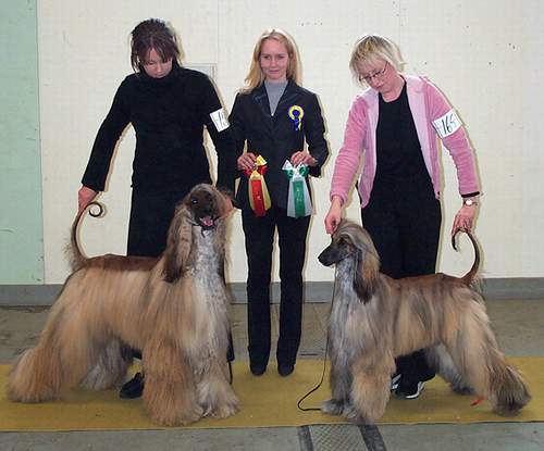 Picture send from Anette Lindblom (Schweden)