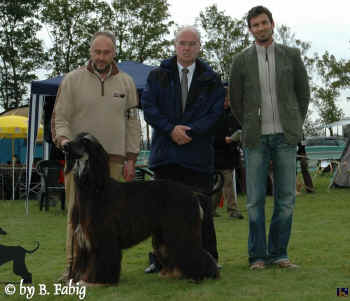 �v1-cac-ls-rued.jpg (83456 Byte)