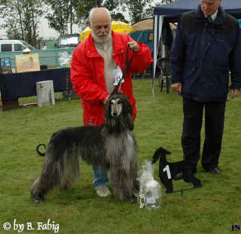 v1-ok-huend.jpg (97063 Byte)