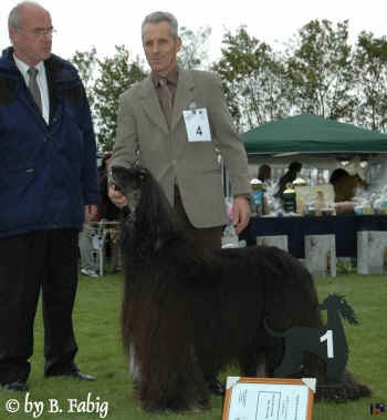 v1-vet-rued.jpg (65950 Byte)