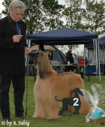v2-vet-rued.jpg (86661 Byte)