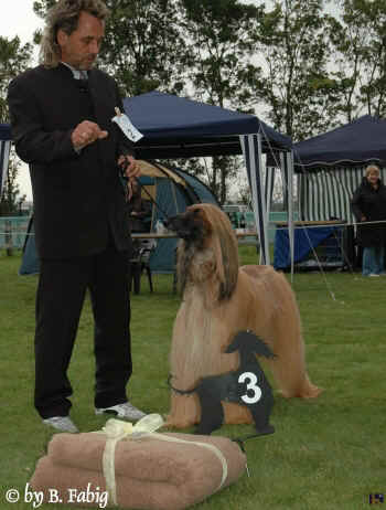 v3-vet-rued.jpg (96437 Byte)