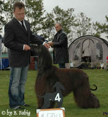 v4-vet-rued.jpg (79322 Byte)