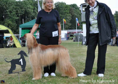 vet-huen.JPG (402434 Byte)