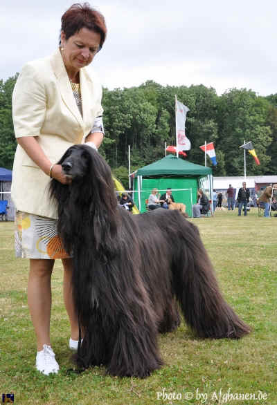 vet-rued.JPG (455085 Byte)