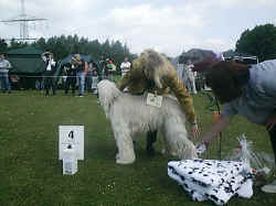 huen-vet-4.jpg (126774 Byte)