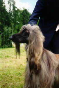 tanja 4.jpg (46857 Byte)