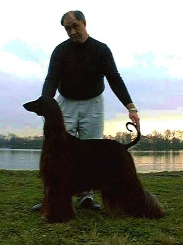 Click here to view pedigrees