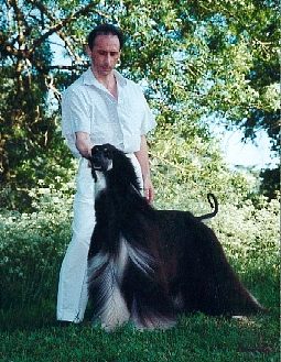 Click here to view pedigrees