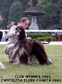 TORA -  Zwycięzca Klubu 2003